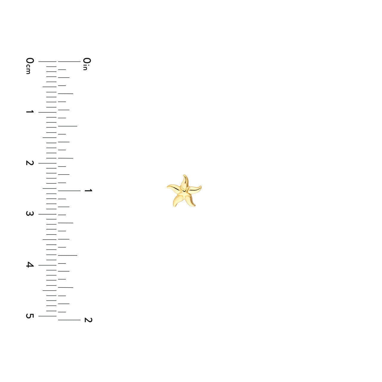Starfish Studs - ForevrGold | Los Angeles