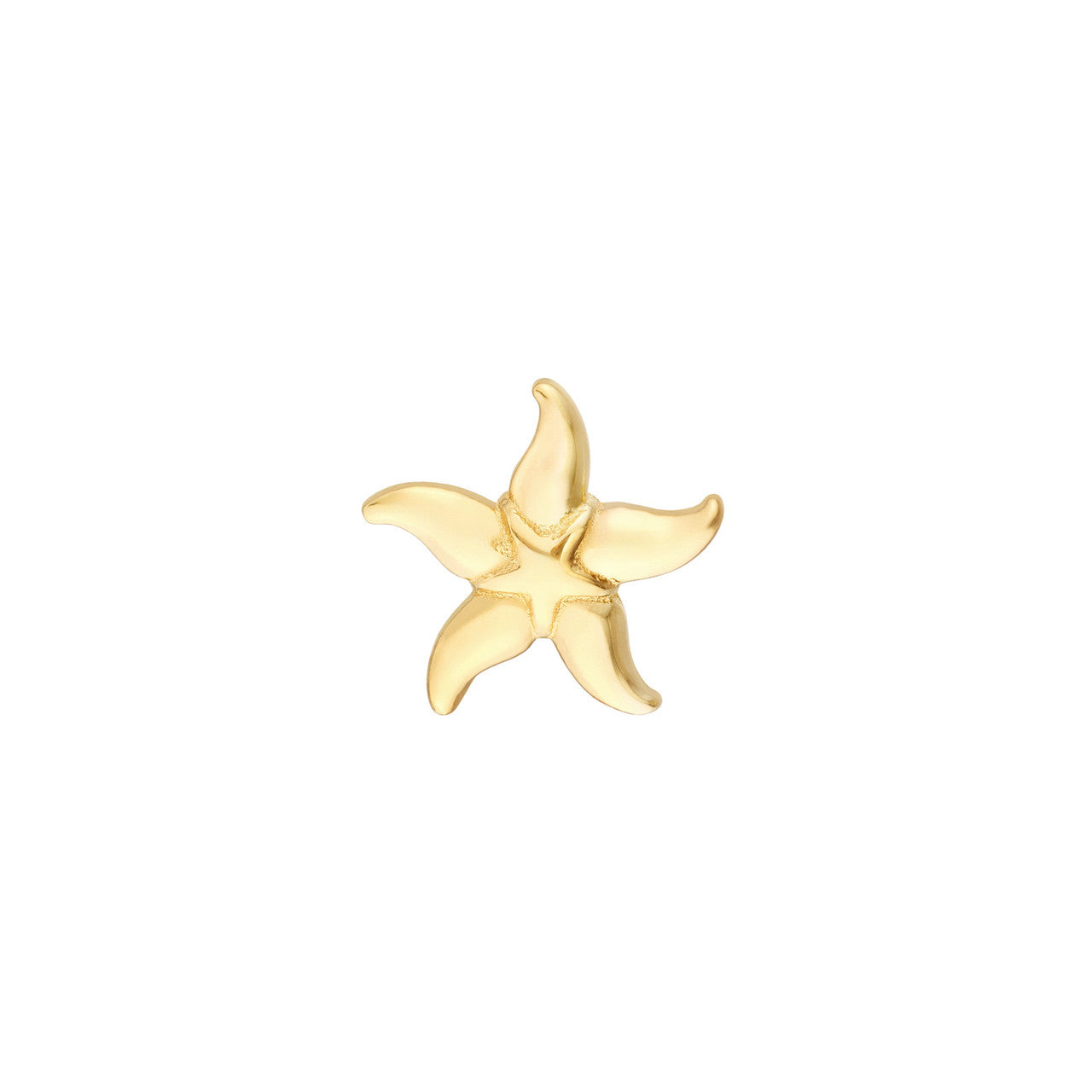 Starfish Studs